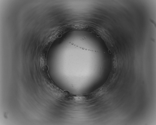 X0000099970371200806061635