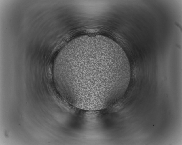 X0000099970373200806061635