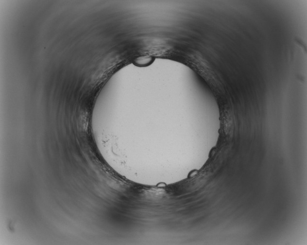 X0000099970374200806061635