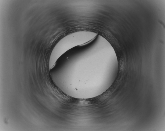 X0000099970376200806061635