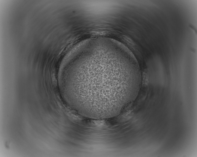 X0000099970377200806061635