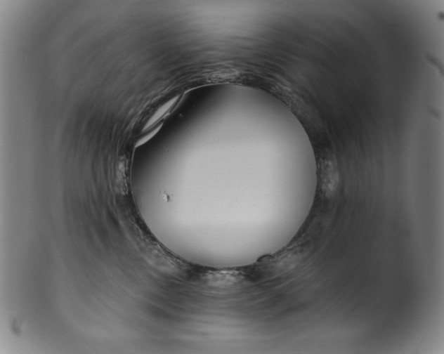 X0000099970378200806061635