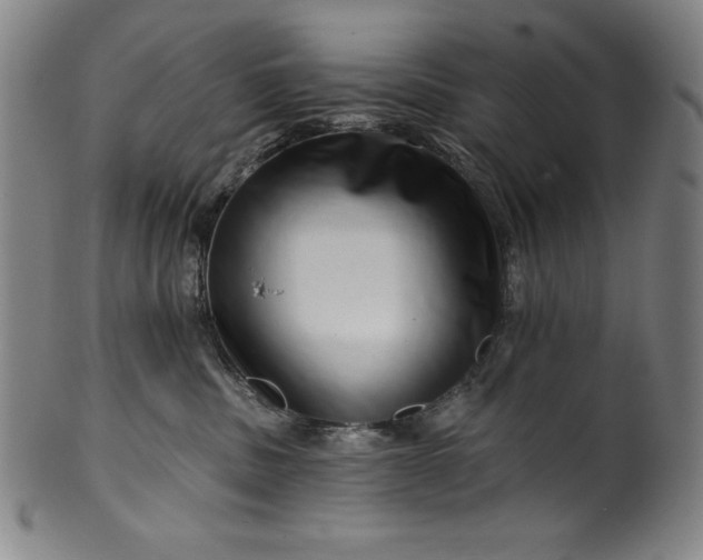 X0000099970379200806061635