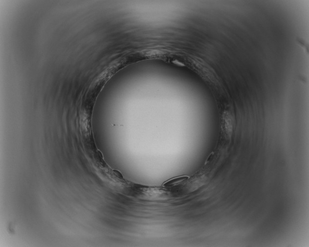 X0000099970380200806061635