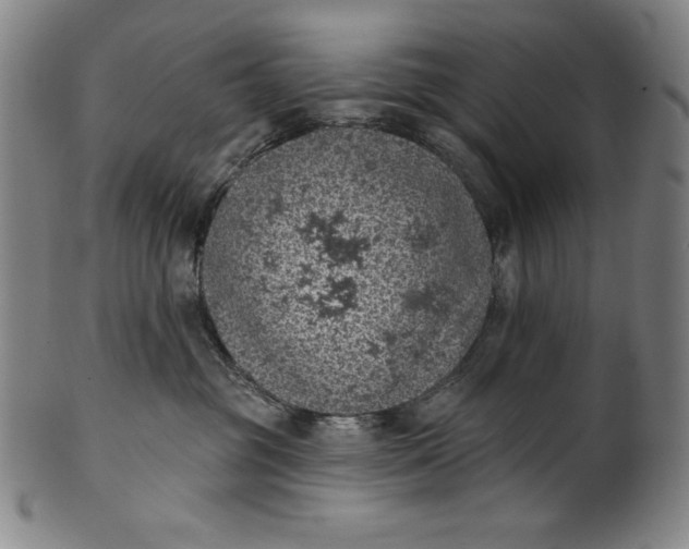 X0000099970381200806061635