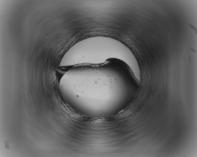 X0000099970382200806061635