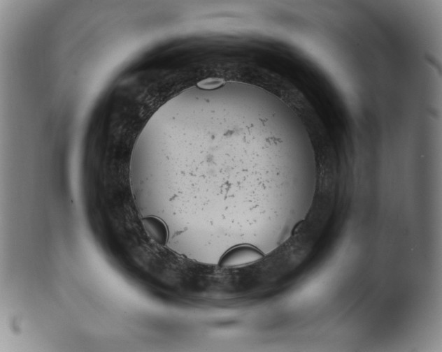 X0000099970383200806061635