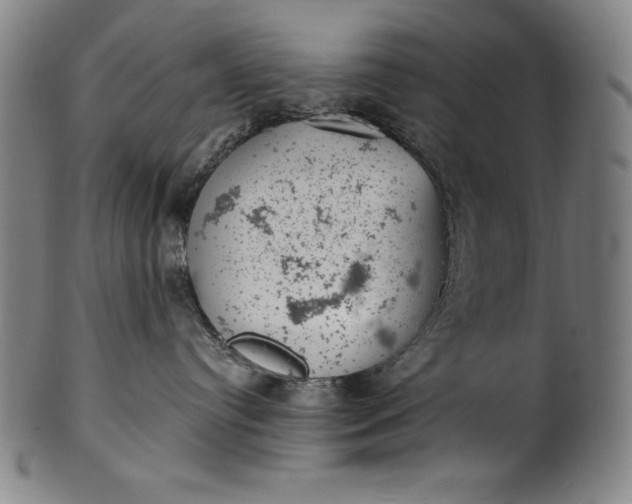 X0000099970384200806061635