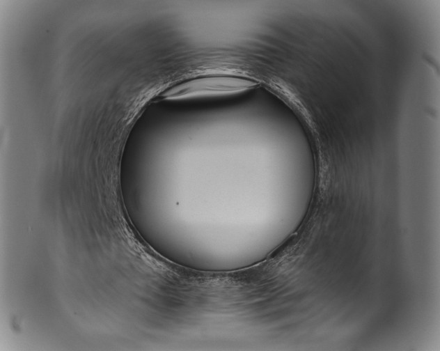 X0000099970385200806061635