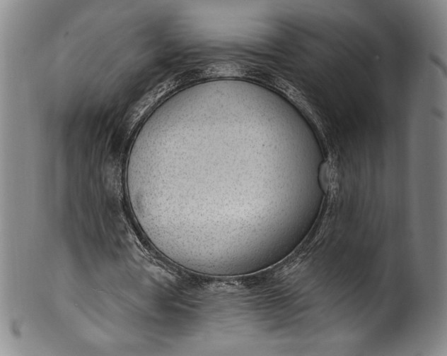 X0000099970386200806061635