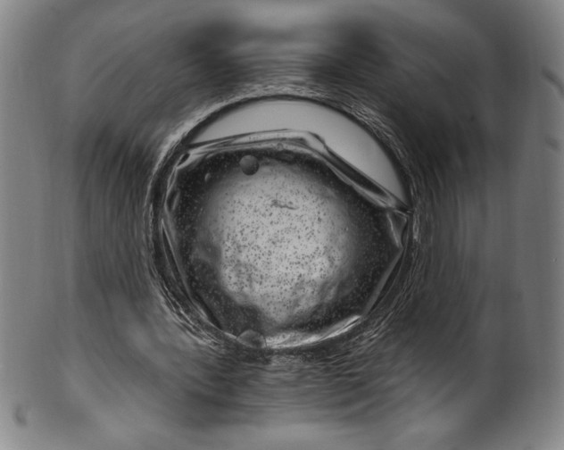 X0000099970388200806061635