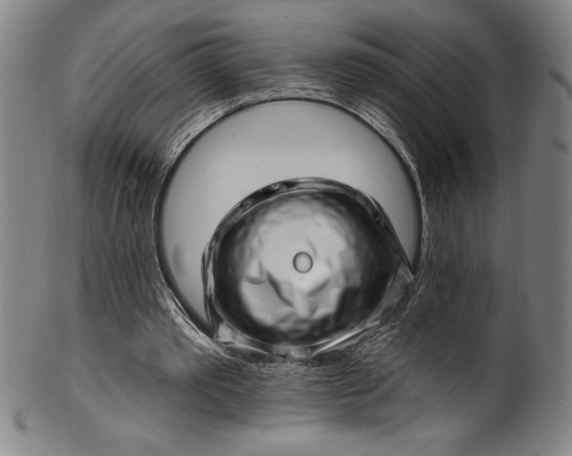 X0000099970389200806061635