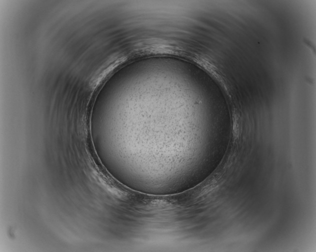 X0000099970390200806061635