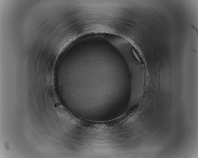 X0000099970391200806061635