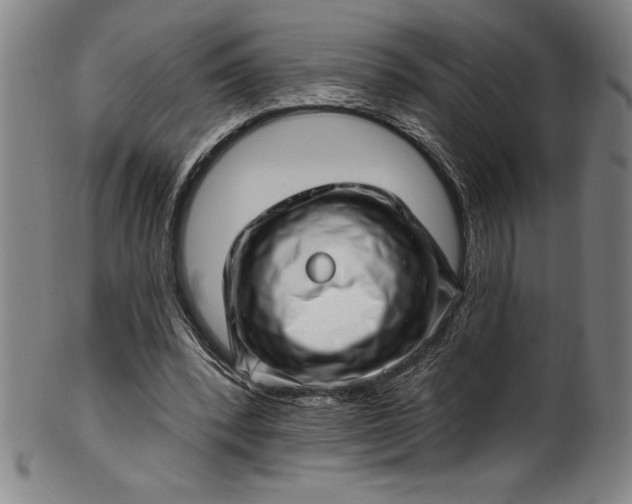 X0000099970392200806061635