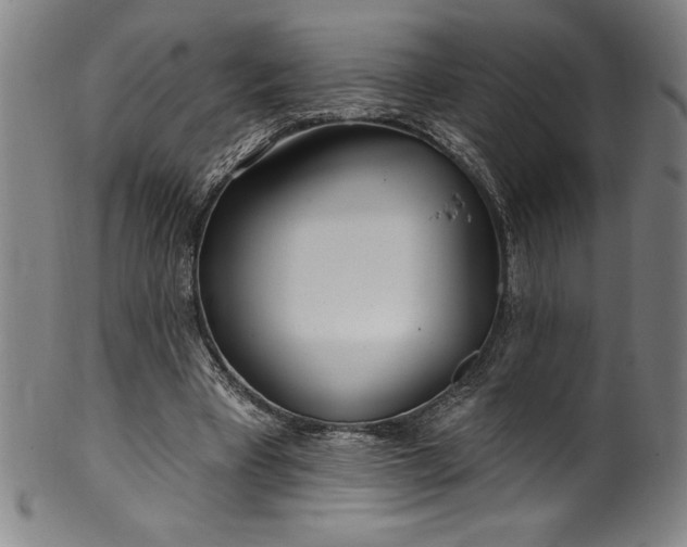 X0000099970393200806061635