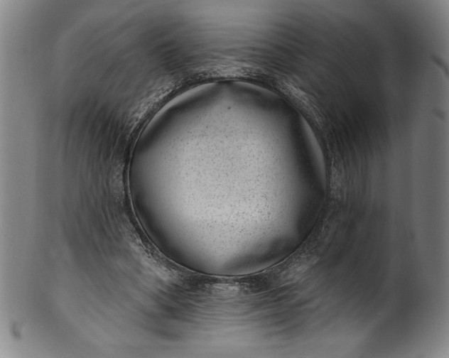 X0000099970394200806061635