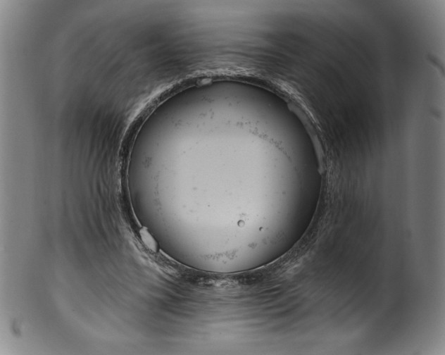 X0000099970395200806061635