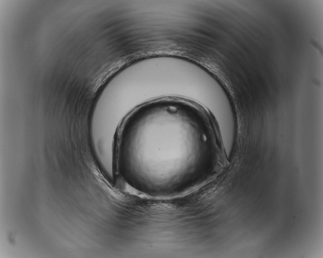 X0000099970397200806061635