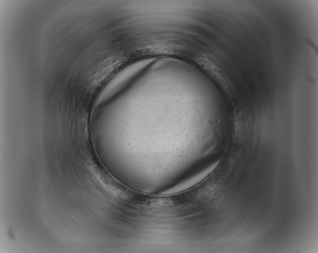 X0000099970398200806061635