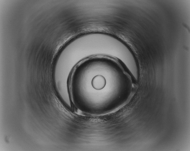 X0000099970399200806061635