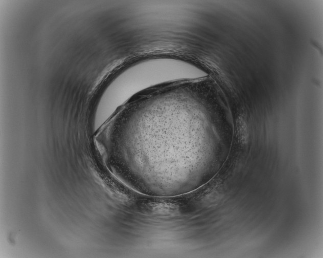 X0000099970400200806061635