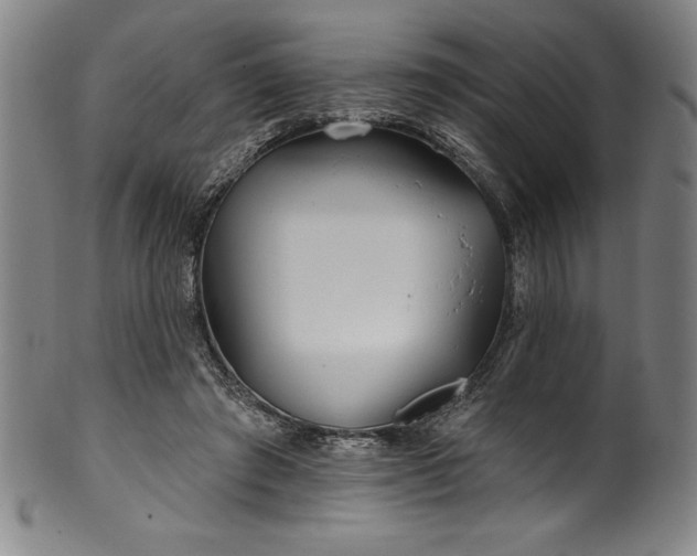 X0000099970401200806061635