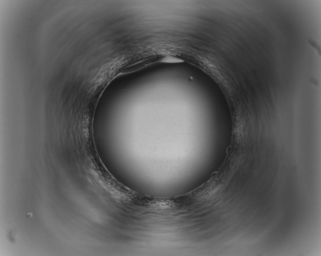 X0000099970402200806061635