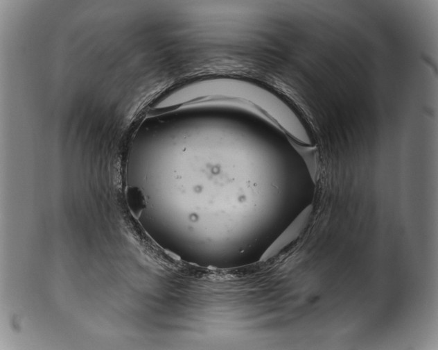 X0000099970403200806061635