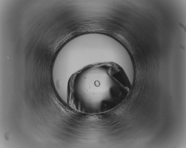 X0000099970405200806061634