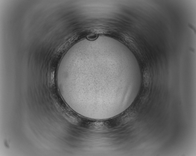 X0000099970406200806061634