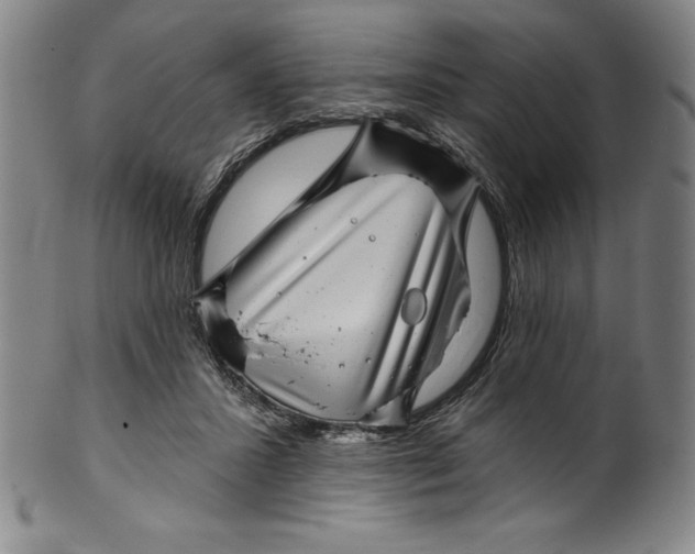 X0000099970407200806061634