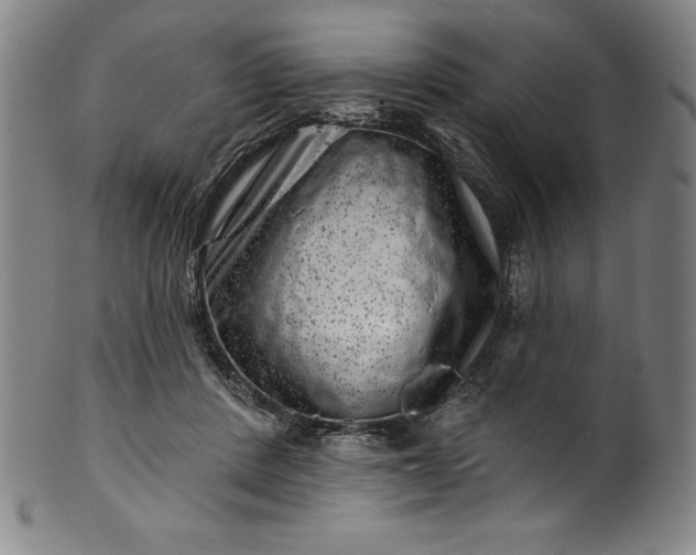 X0000099970408200806061634