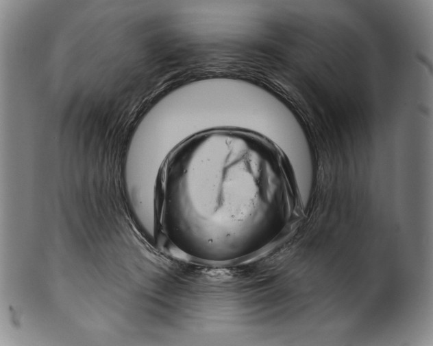 X0000099970409200806061634