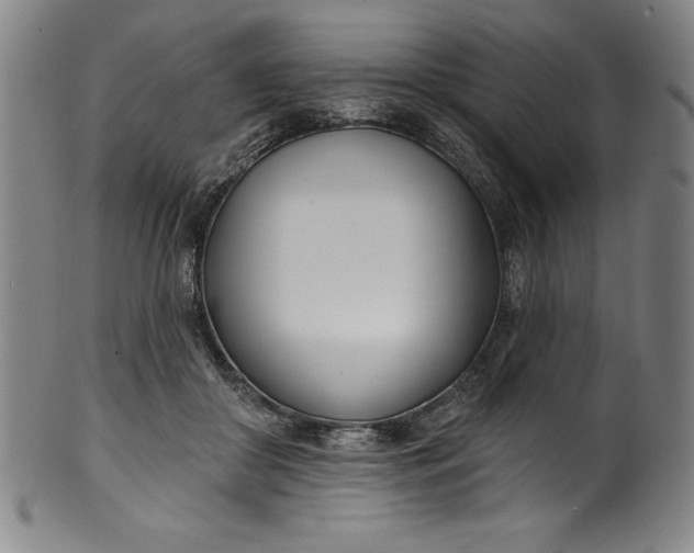 X0000099970410200806061634