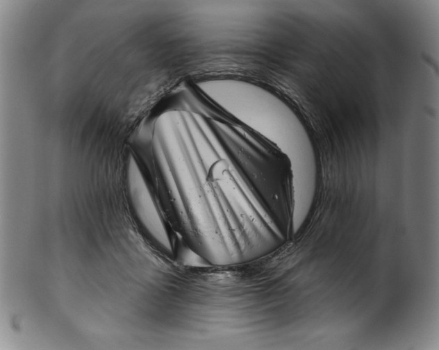 X0000099970411200806061634