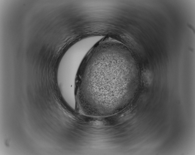 X0000099970412200806061634