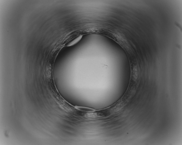 X0000099970413200806061634