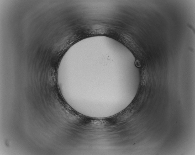 X0000099970414200806061634