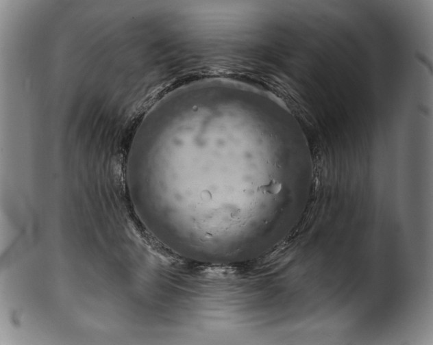 X0000099970415200806061634