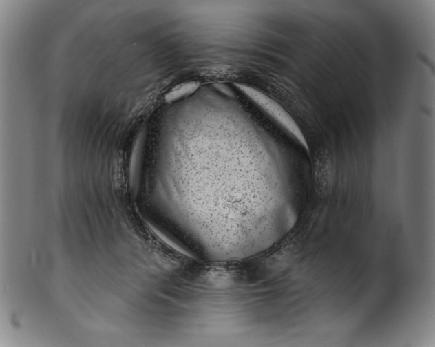 X0000099970416200806061634