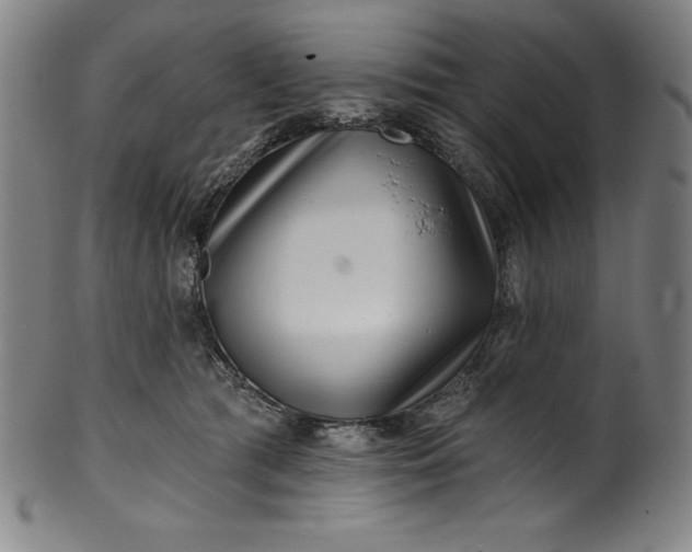 X0000099970417200806061634