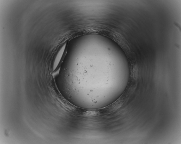 X0000099970418200806061634