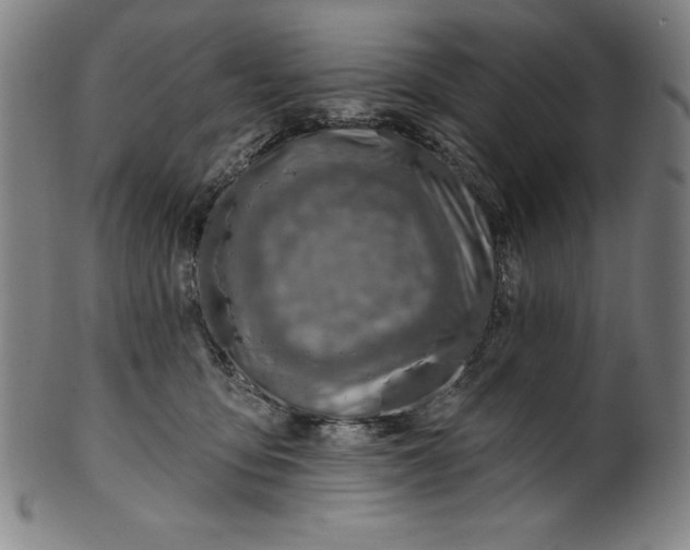 X0000099970419200806061634