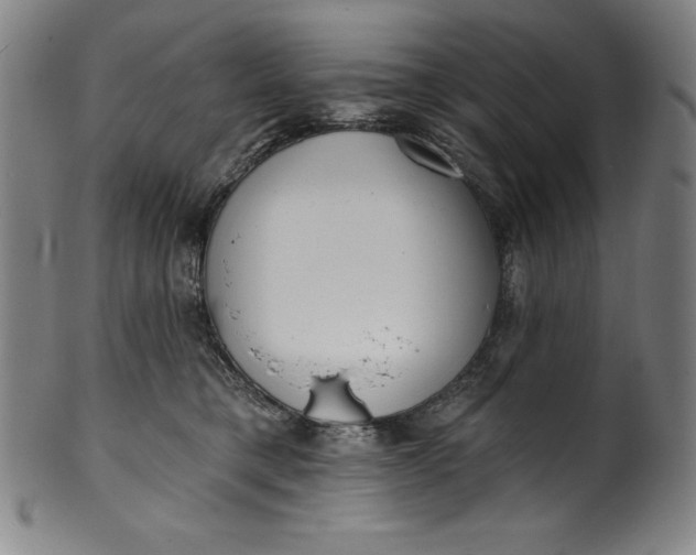 X0000099970421200806061634