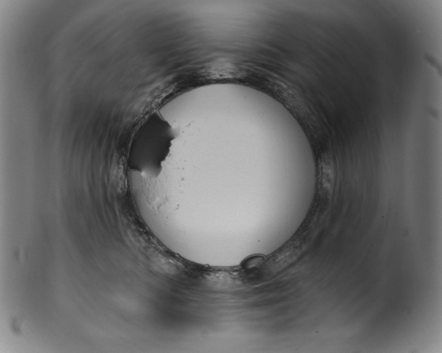 X0000099970422200806061634