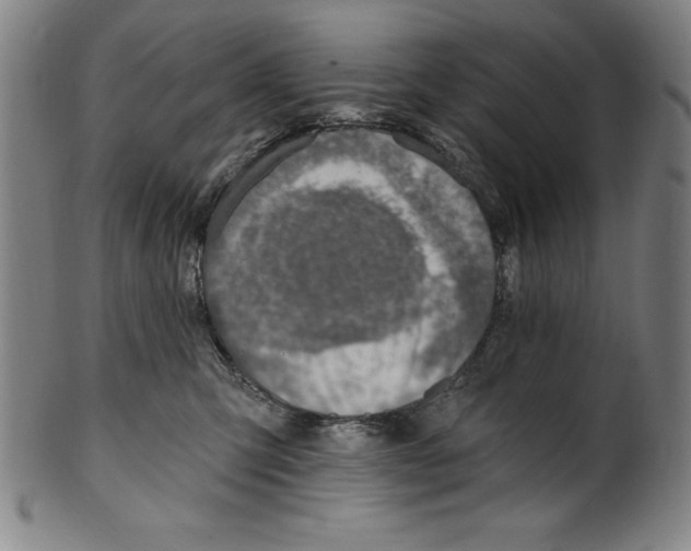 X0000099970423200806061634