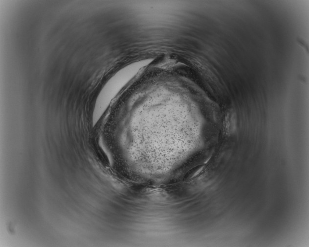 X0000099970424200806061634