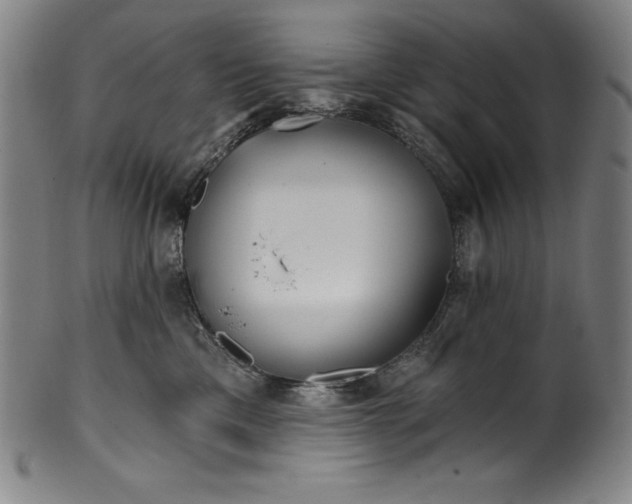 X0000099970425200806061634