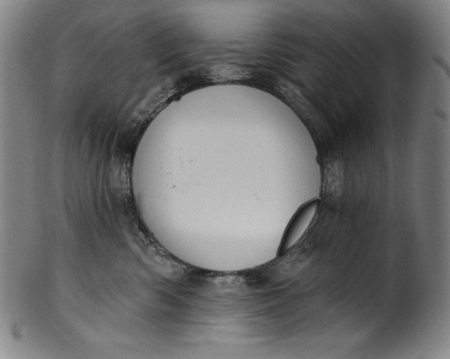 X0000099970426200806061634